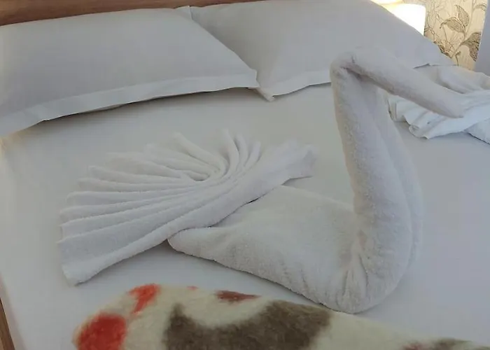 Jasmin Къща за гости 4*